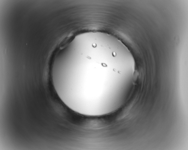 X0000088050540200706011344