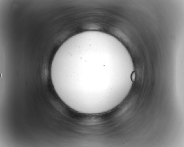 X0000088050541200706011344