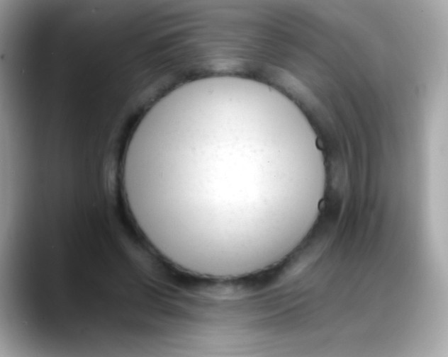 X0000088050542200706011344