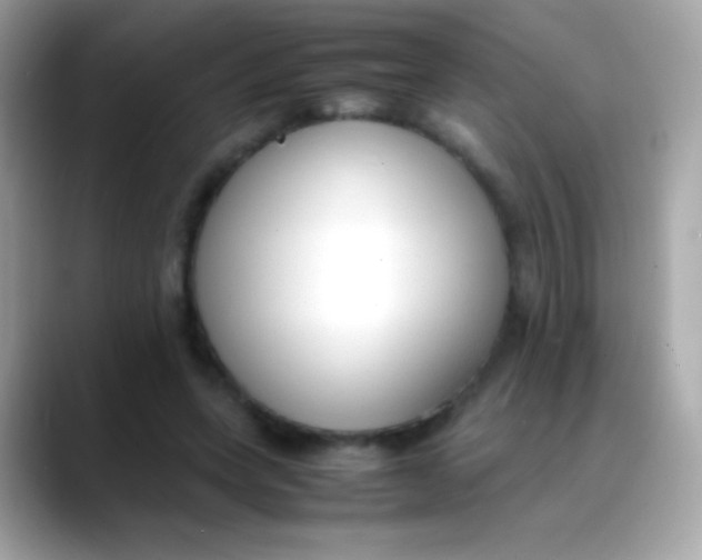 X0000088050543200706011344