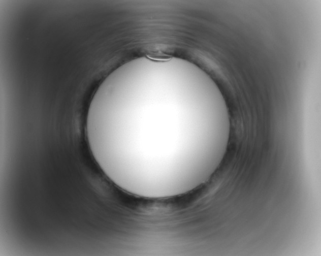 X0000088050546200706011344