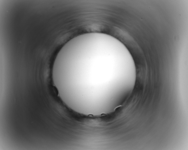 X0000088050548200706011344