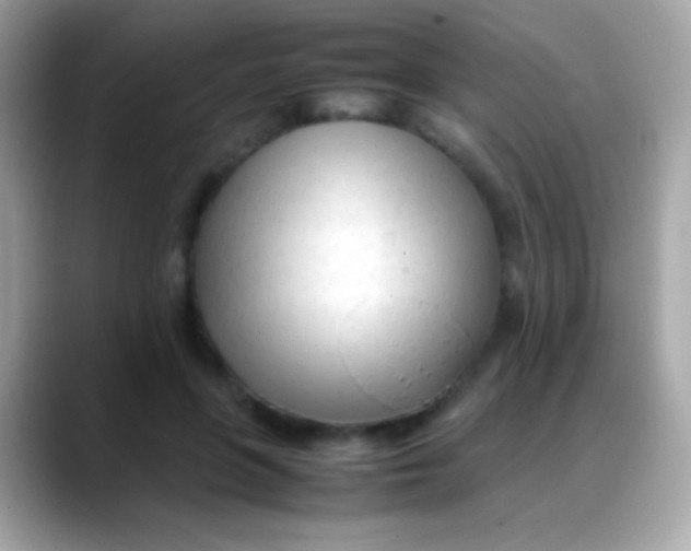 X0000088050551200706011344