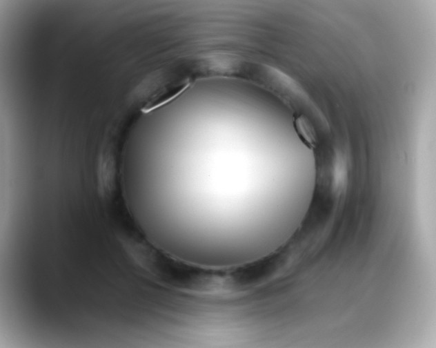 X0000088050552200706011344
