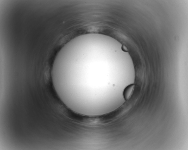 X0000088050554200706011344