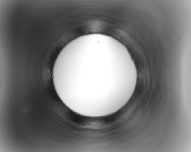X0000088050555200706011344