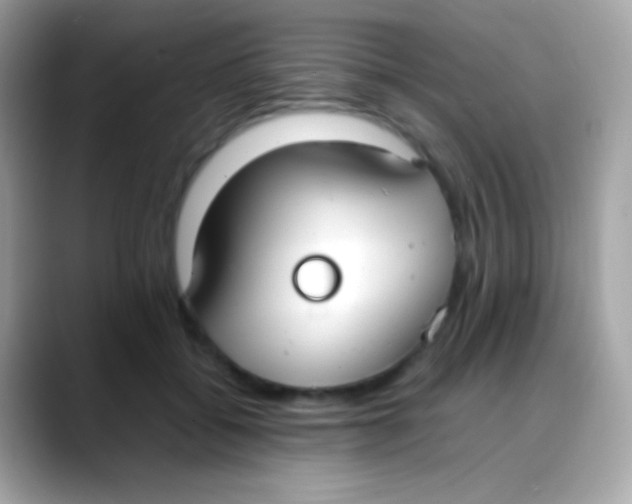 X0000088050556200706011344