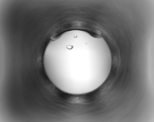 X0000088050557200706011344