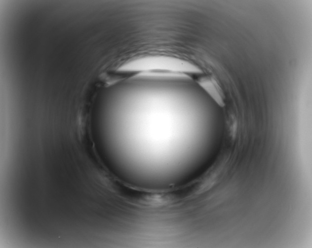 X0000088050558200706011344