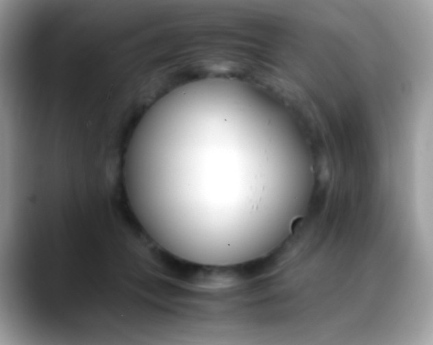 X0000088050559200706011344
