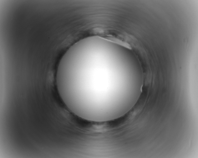X0000088050560200706011344
