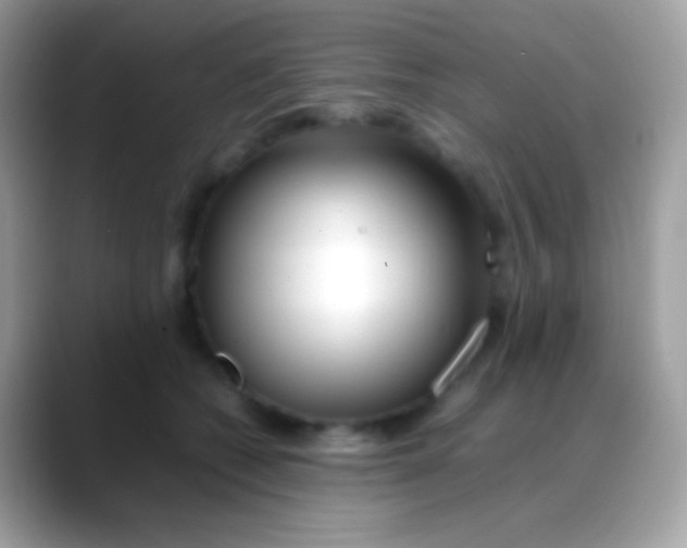 X0000088050562200706011344