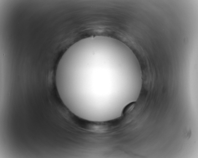 X0000088050563200706011344