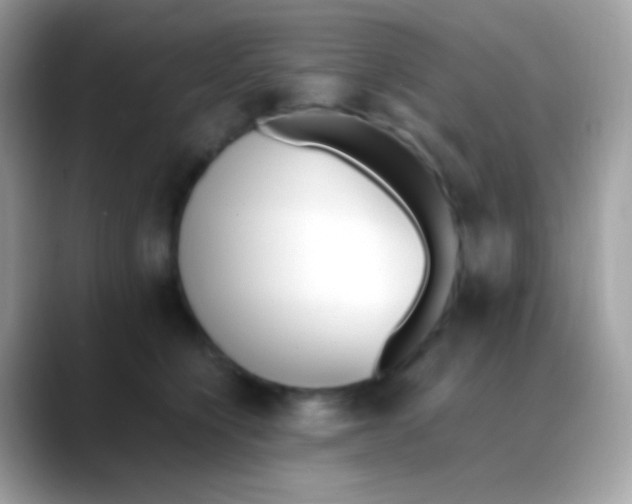 X0000088050564200706011344