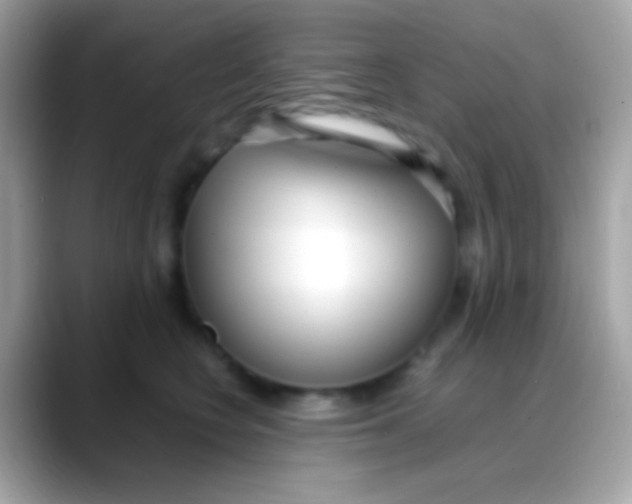 X0000088050566200706011344