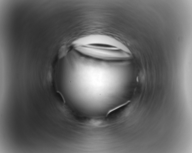 X0000088050570200706011344