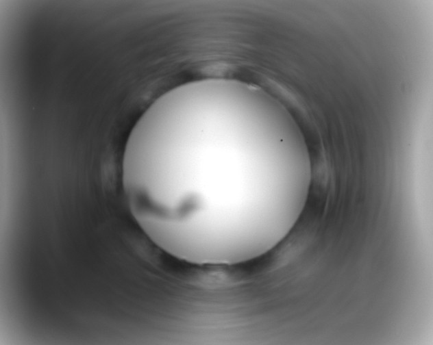 X0000088050572200706011344
