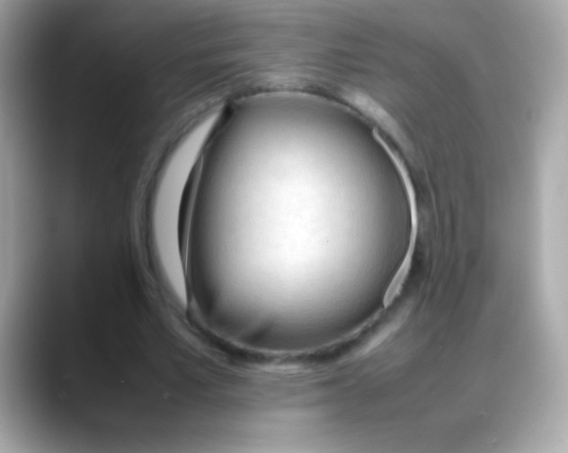 X0000088050581200706011344