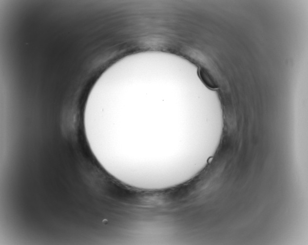 X0000088050583200706011344