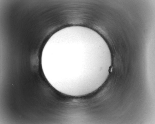 X0000088050584200706011344