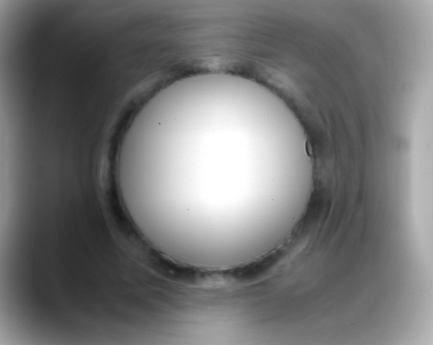 X0000088050587200706011344