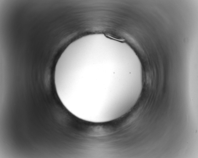 X0000088050588200706011344