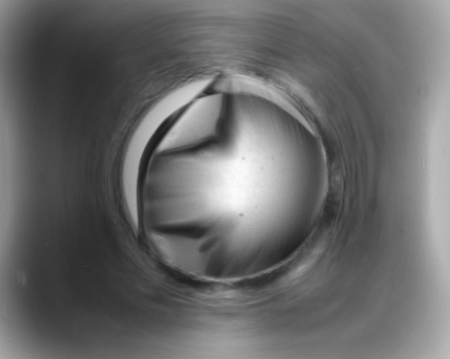 X0000088050589200706011344