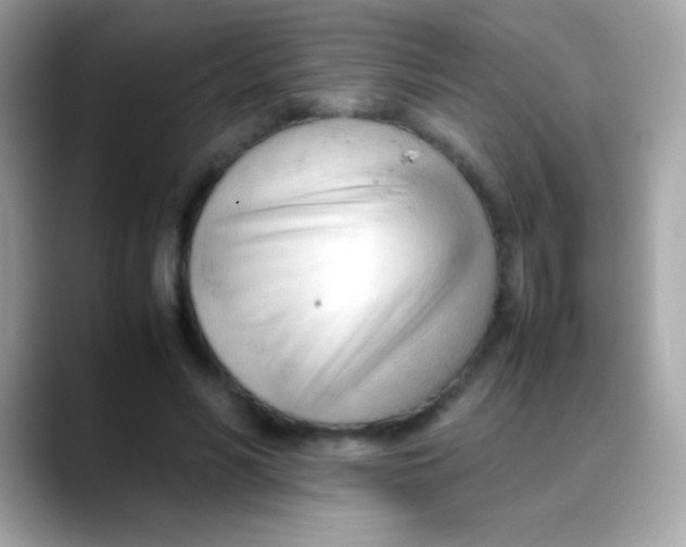 X0000088050590200706011344