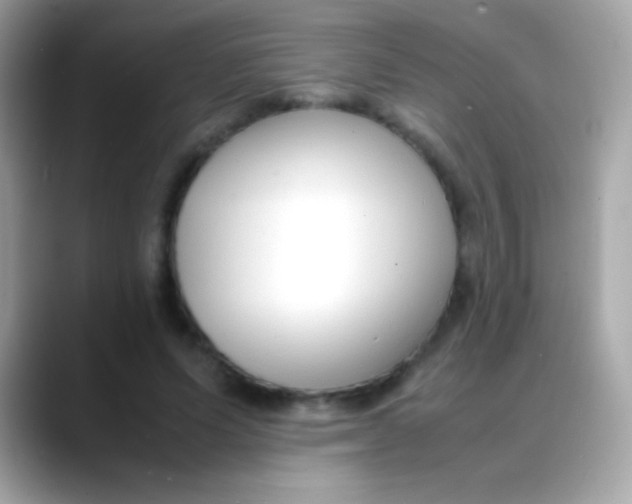 X0000088050591200706011344