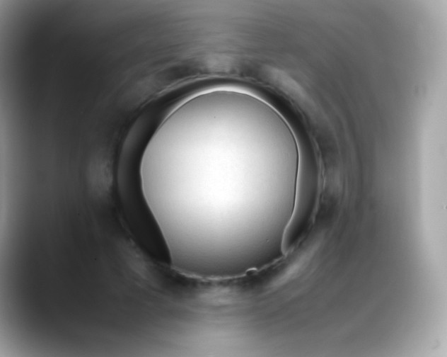 X0000088050593200706011344