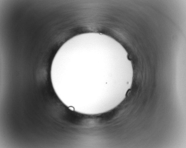 X0000088050595200706011344