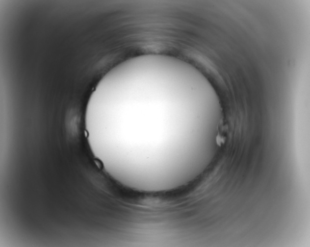 X0000088050596200706011344