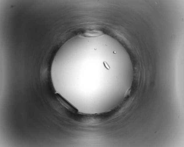 X0000088050597200706011344