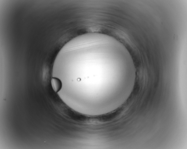 X0000088050598200706011344