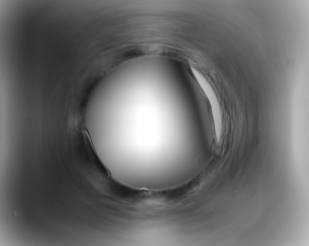 X0000088050601200706011343