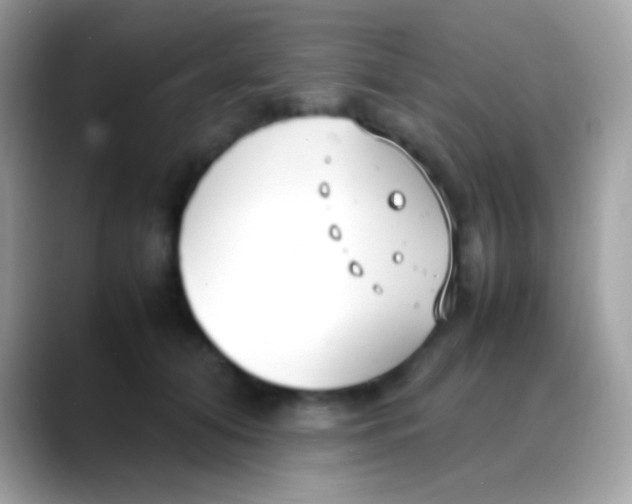 X0000088050608200706011343