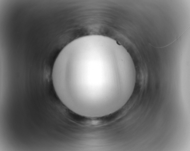 X0000088050610200706011343