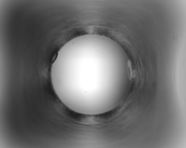X0000088050611200706011343