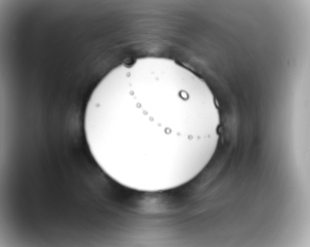X0000088050612200706011343