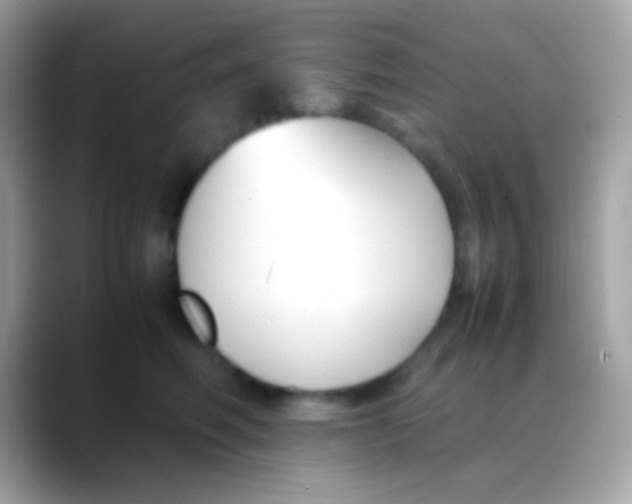 X0000088050614200706011343
