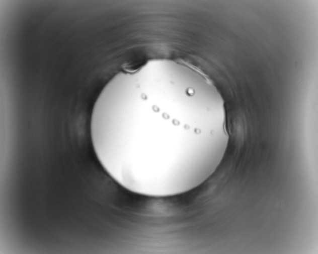 X0000088050616200706011343