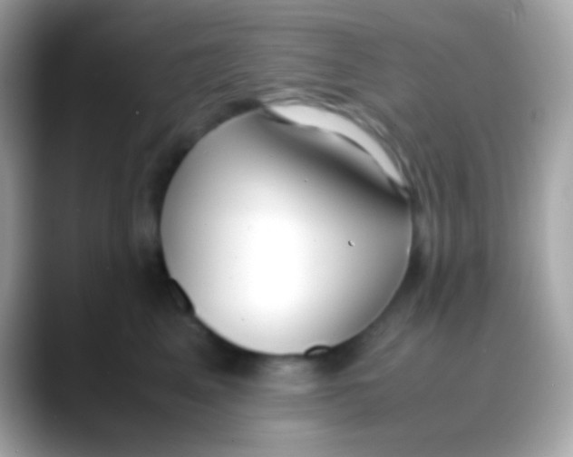 X0000088050617200706011343