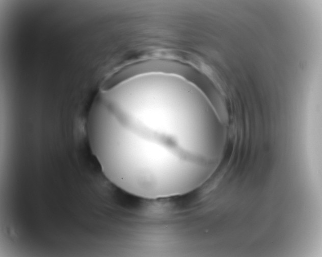 X0000088050621200706011343