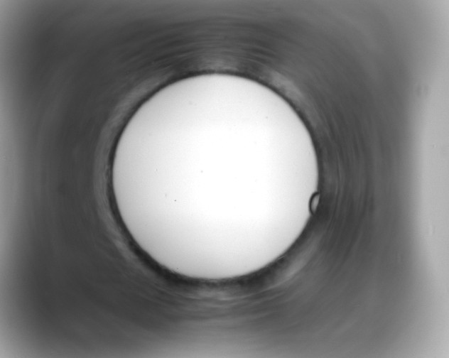 X0000088050625200706011343