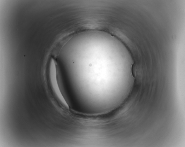 X0000088050626200706011343