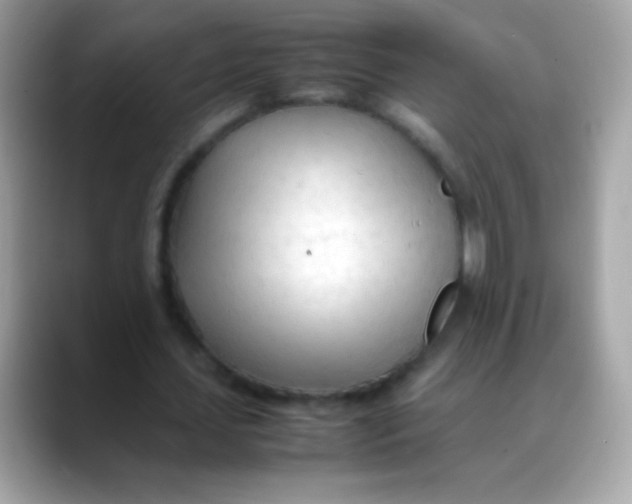 X0000088050627200706011343