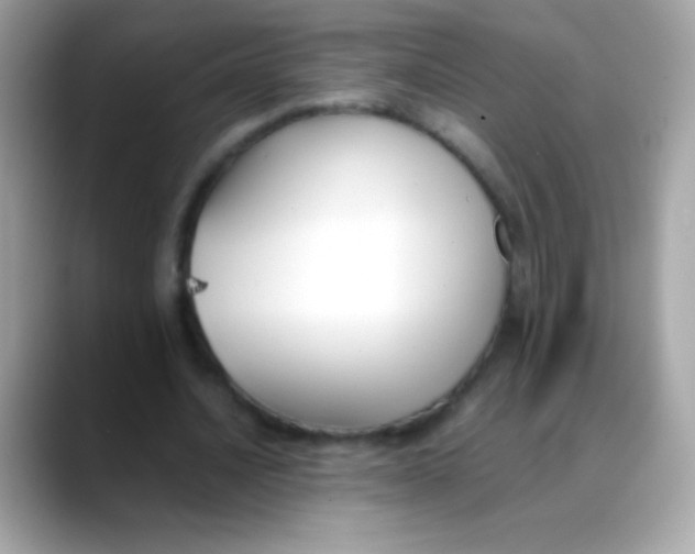 X0000088050628200706011343