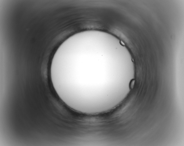 X0000088050629200706011343