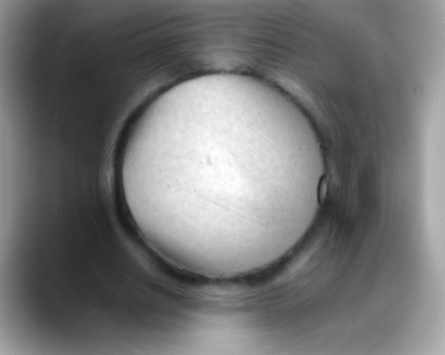 X0000088050630200706011343