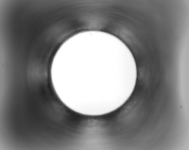 X0000088050632200706011343